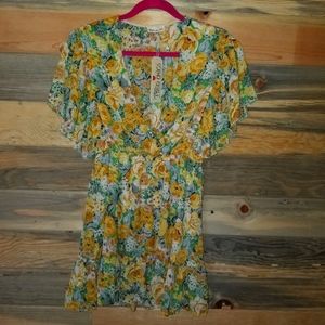 Southern fried chicks dress